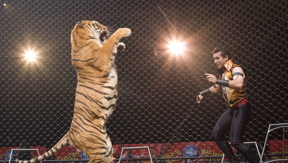 Madrid dice adiós a los circos con animales salvajes, prohibidos en la capital a partir de abril