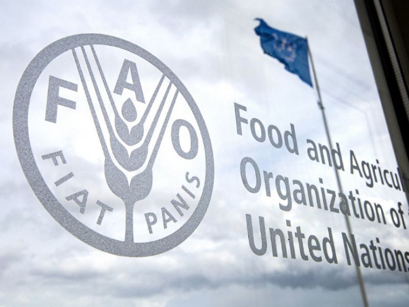 Precios de la carne de la FAO llegaron a su punto más bajo desde 2014