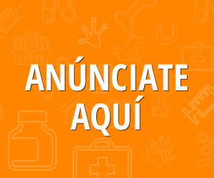 Banner Portada 300 X 250 1