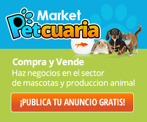 Market Petcuaria Banner