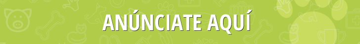 Banner 728x90 portada 3ero