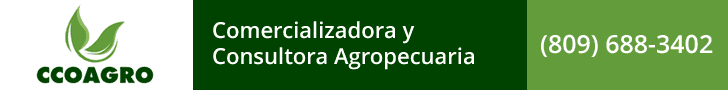 Portada 728 1ero