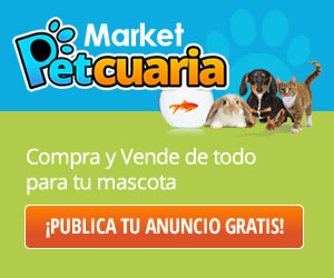 Banner 300x250 Eventos 2