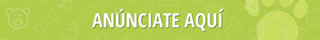 Banner Movil