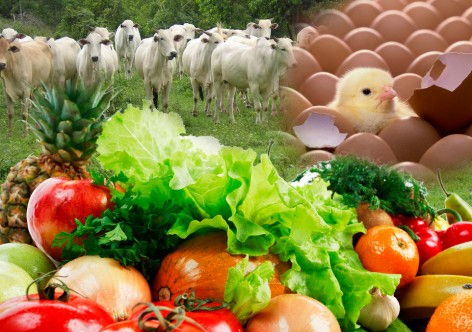 La agropecuaria es el sector que podr&iacute;a hacer que la econom&iacute;a dominicana se recupere cuando termine la crisis