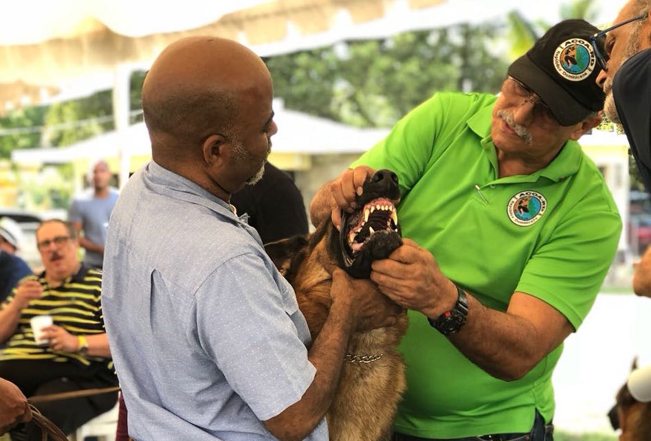 ACOA-RD realiza XIV Exposici&oacute;n de Crianza 2018