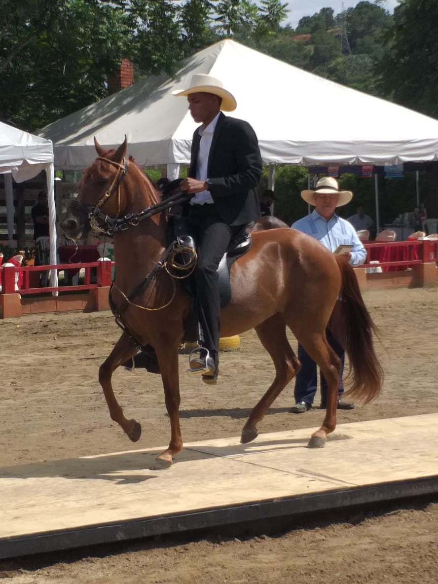 ADOPASO realiza su 4ta competencia puntuable en Bonao 
