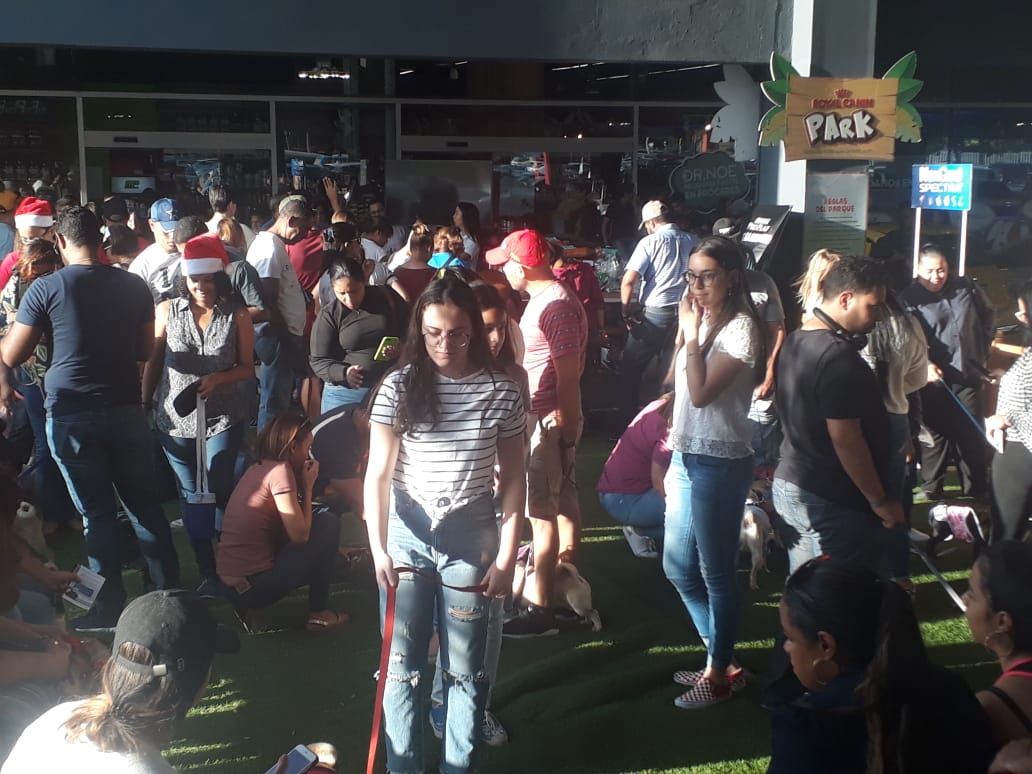 &ldquo;A casa llena&rdquo; celebran 5to encuentro de Pugs en el Arca Pets Shop