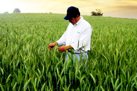4 de Octubre: D&iacute;a Nacional del Agr&oacute;nomo