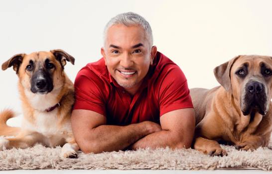 C&eacute;sar Millan: &ldquo;Antes de ser maestro tienes que aprender. Yo entreno humanos y rehabilito a los perros&rdquo;