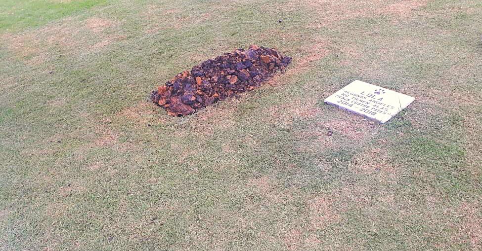 Despiden con honor restos de la perra &ldquo;Negra&rdquo; asesinada el mi&eacute;rcoles en el mirador 