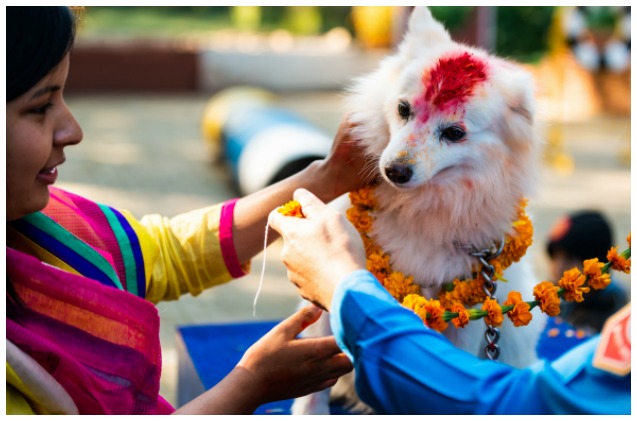 Kukur Tihar: El festival hind&uacute; en honor a los perros