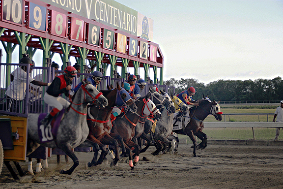 El Hip&oacute;dromo V Centenario, de un desierto a para&iacute;so