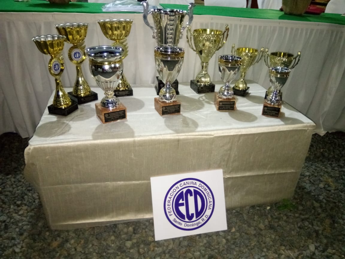 La Federaci&oacute;n Canina realiza premiaci&oacute;n del ranking 2018