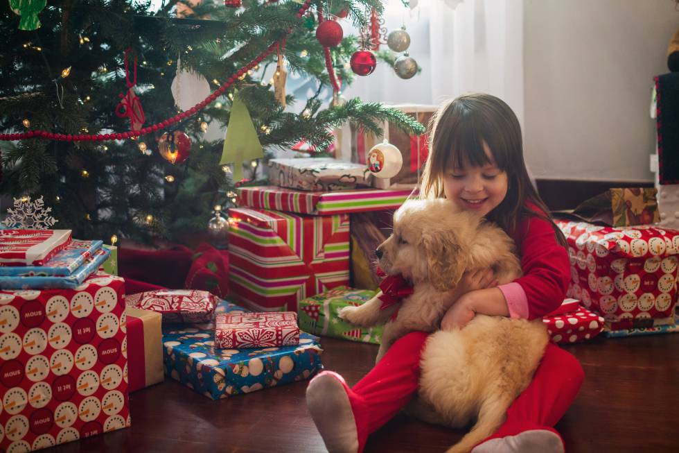 &ldquo;&iexcl;Mam&aacute;, les he pedido a los Reyes Magos un perro!&rdquo;