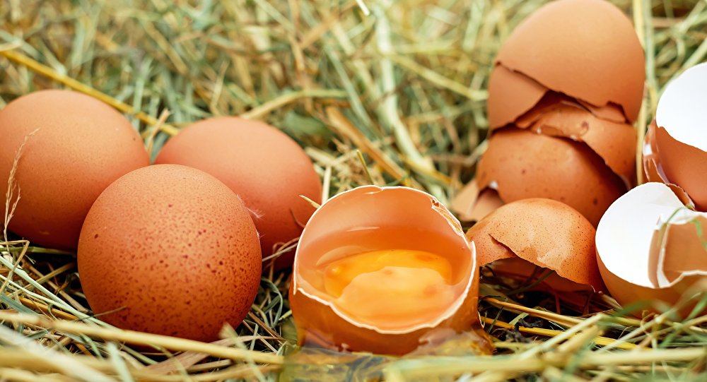 &iquest;Podr&aacute;n las gallinas cambiar la industria farmac&eacute;utica?