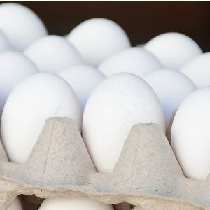 Rep&uacute;blica Dominicana, sector del huevo gana protagonismo en rubro pecuario