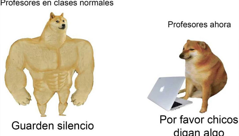 Balltze, el protagonista del famoso meme viral del perro sentado cumple 10 a&ntilde;os