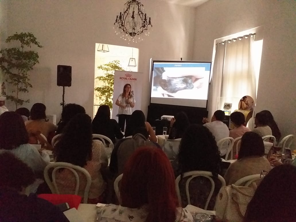 Vetlogica imparte taller sobre medicina felina