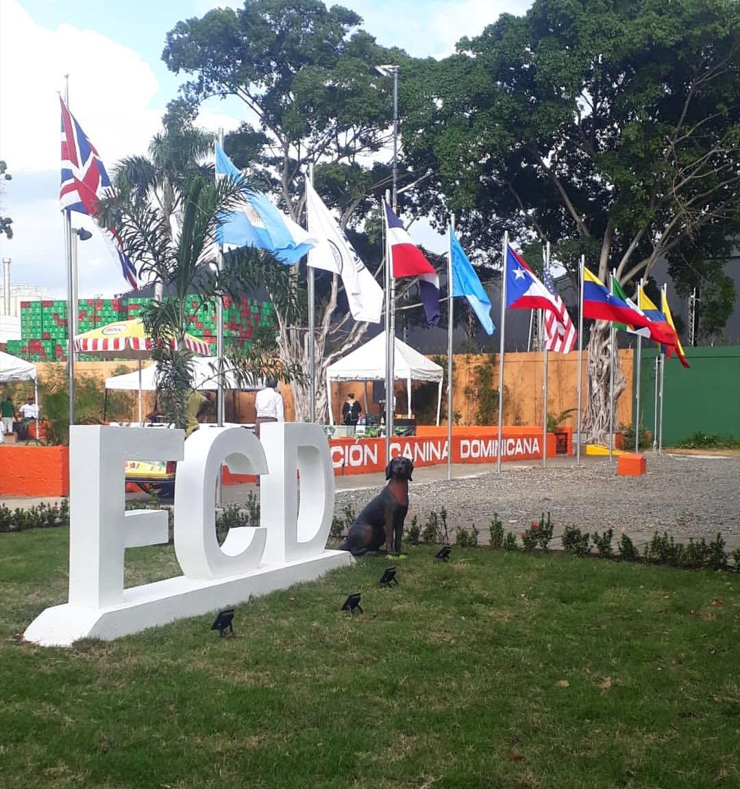 Culmina con &eacute;xito exposici&oacute;n canina Internacional organizada por la FCD