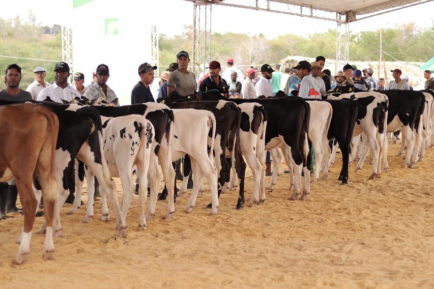 Culmina con &eacute;xito Expo Monta&ntilde;a Sabaneta 2020