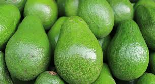 Rep&uacute;blica Dominicana y China firman protocolo sanitario para exportaci&oacute;n de aguacate