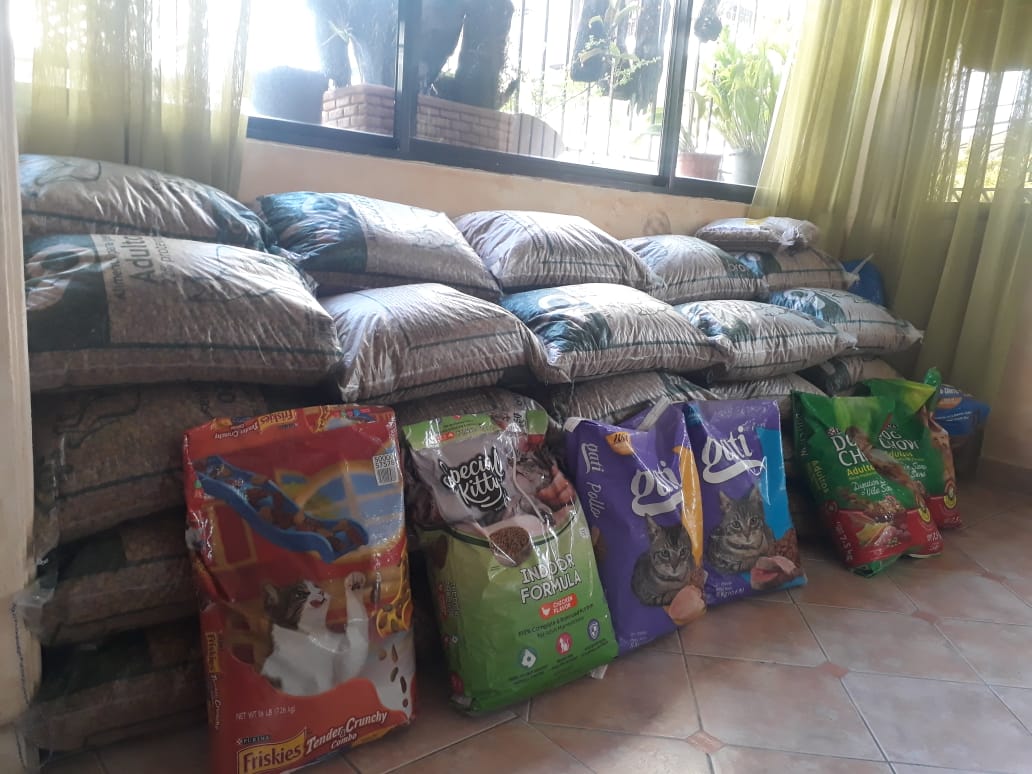 Animalistas &ldquo;revientan&rdquo; las redes sociales con denuncias de abandono animal por parte de la UPA del Ministerio Publico 