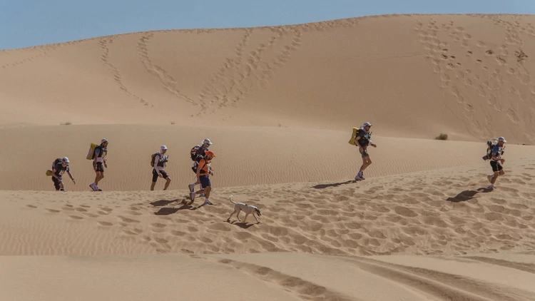 Cactus, el perro que corre ultramaratones
