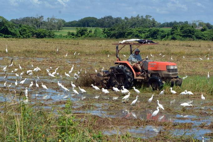 Productores aseguran que la soberan&iacute;a alimentaria se garantiza trabajando en el campo