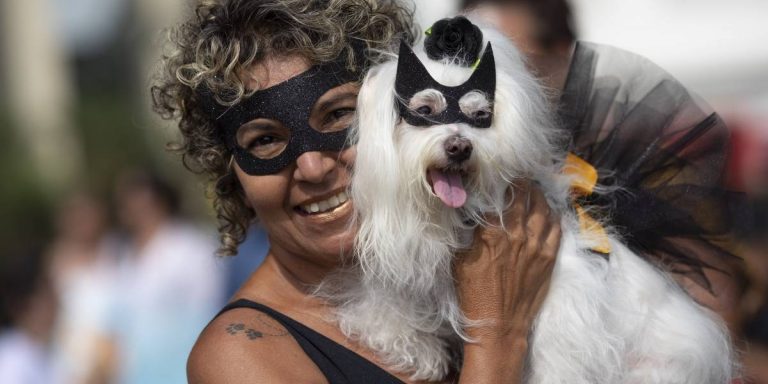 Perros celebran carnaval con fiesta propia en R&iacute;o de Janeiro