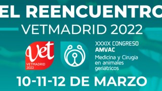 Vetmadrid 2022
