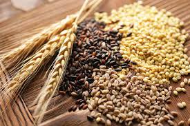 China demandar&aacute; cantidades r&eacute;cord de cereales