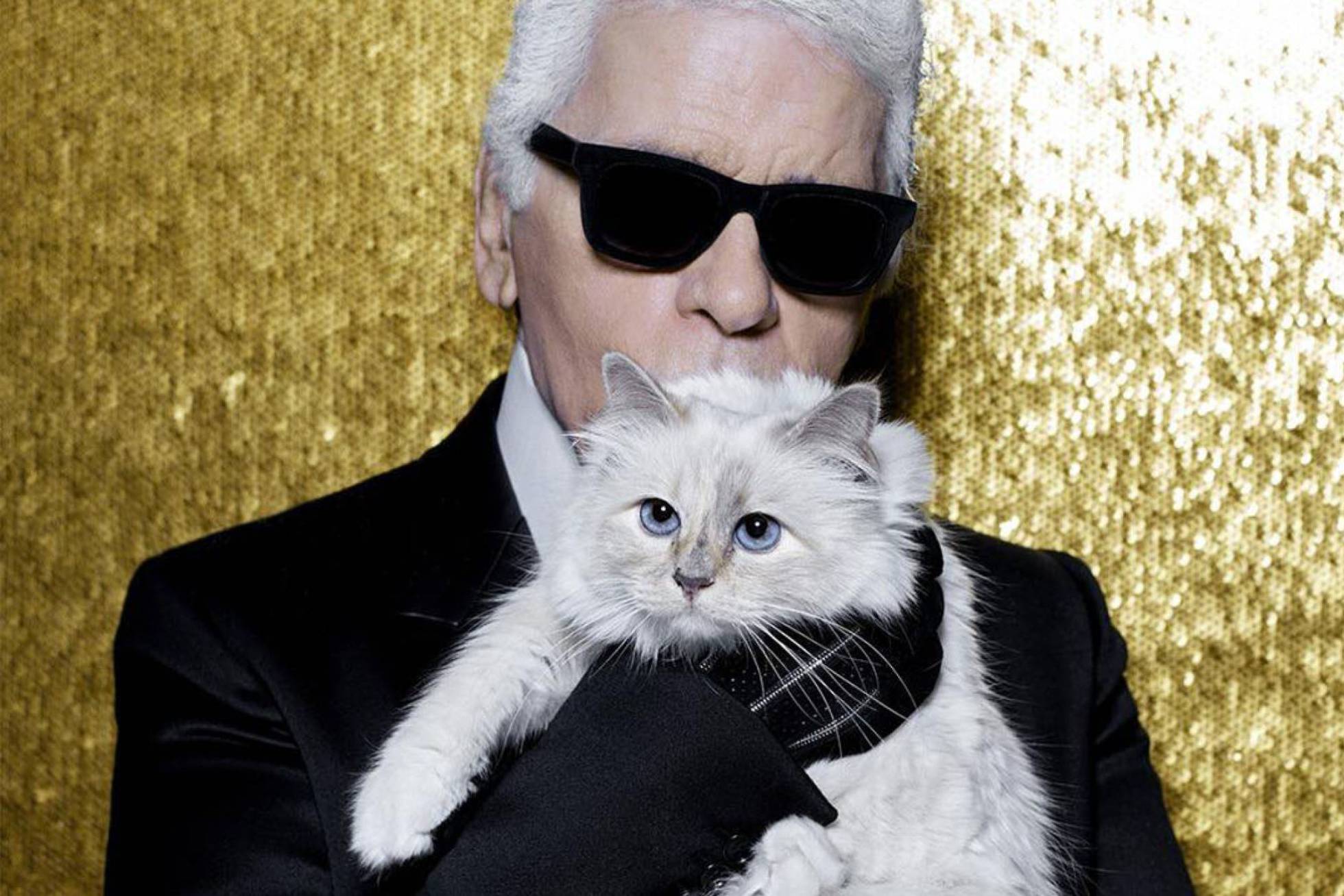 "Choupette", la gata modelo que gana 300 veces el salario m&iacute;nimo interprofesional