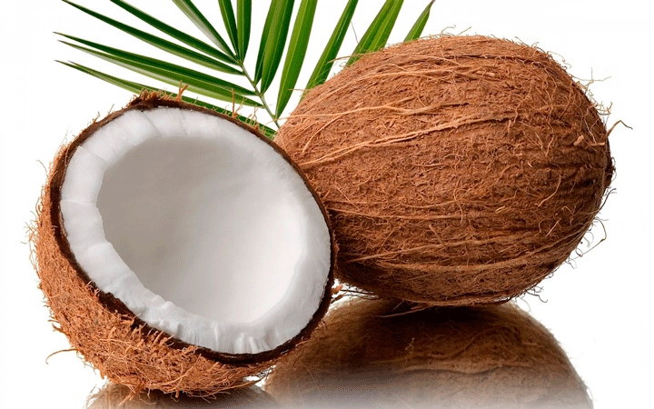 Realizan acto de Lanzamiento del "2do Festival Nacional del Coco Nagua 2019"