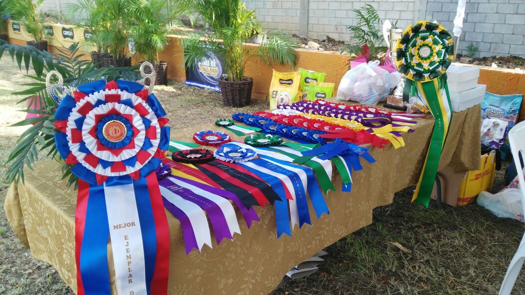 Concluye programa de juzgamiento canino en Ciudad Ganadera