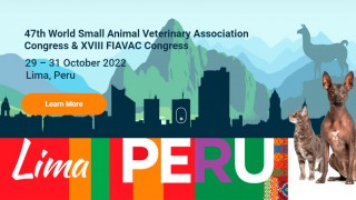 47TH Congreso Mundial de Veterinaria en peque&ntilde;os animales