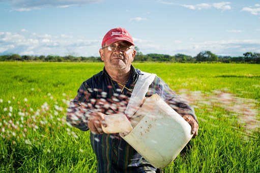 Realizaran conferencia sobre la agropecuaria nacional