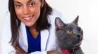 El Glaucoma, un enemigo silencioso de nuestras mascotas