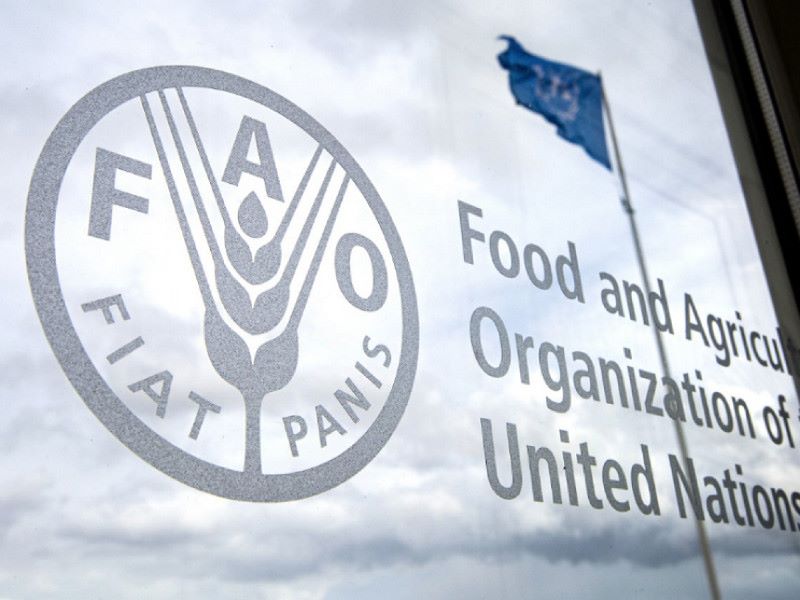 Precios de la carne de la FAO llegaron a su punto m&aacute;s bajo desde 2014