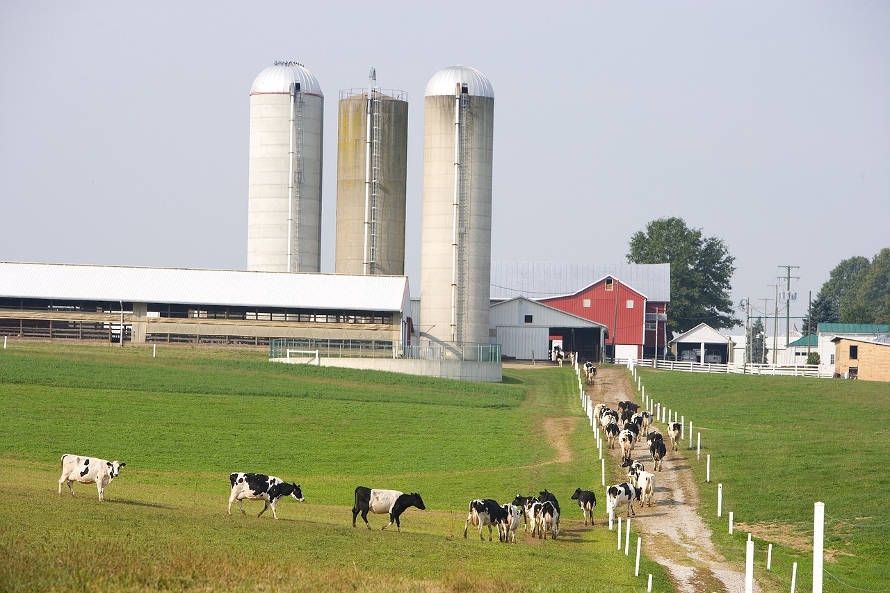 Uruguay, Tierra de Lecher&iacute;a