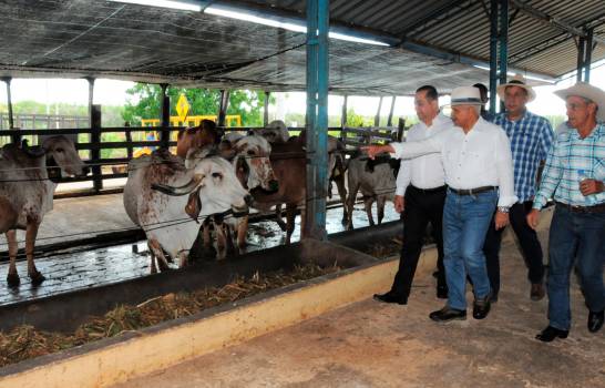 El CEA y Agricultura firman acuerdo para expandir producci&oacute;n bovina en el pa&iacute;s