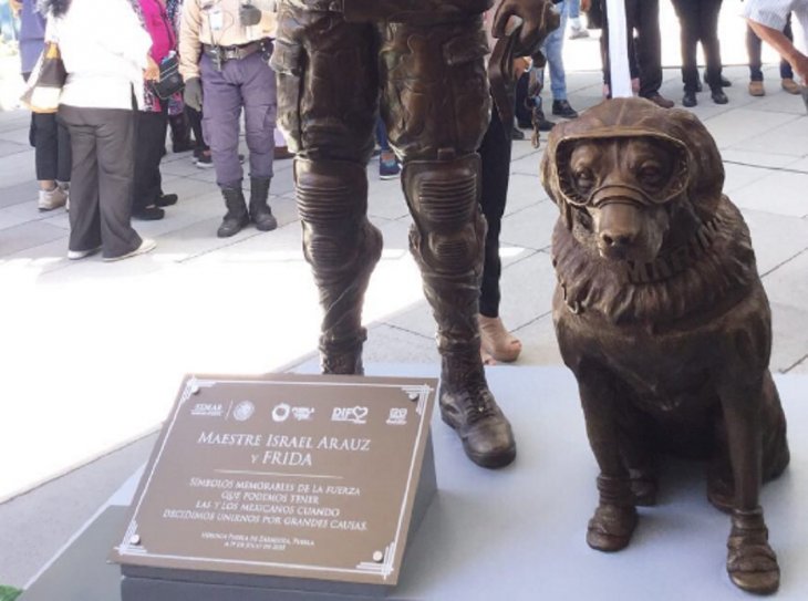 Frida, la perrita rescatista de la Marina de M&eacute;xico ya tiene su estatua