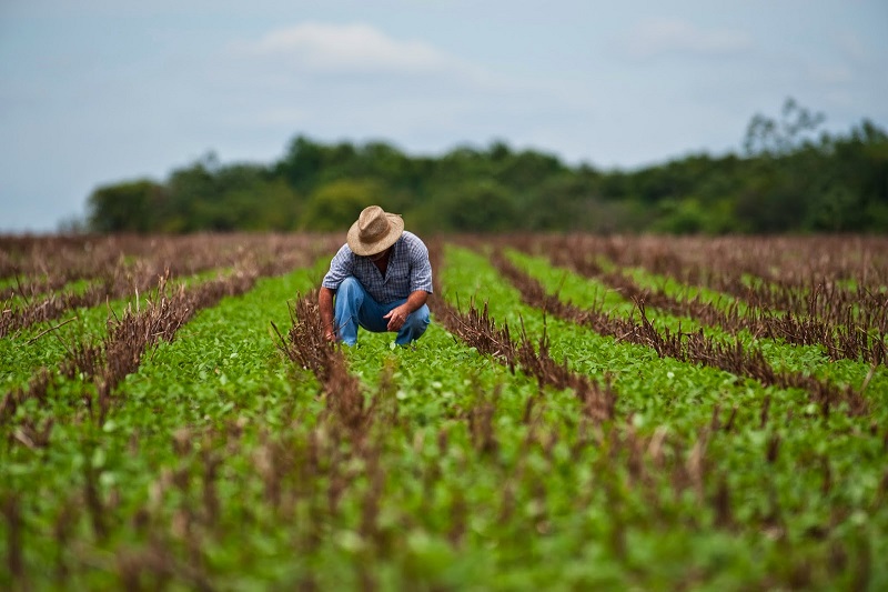Gobierno atiende a productores afectados por ciclones