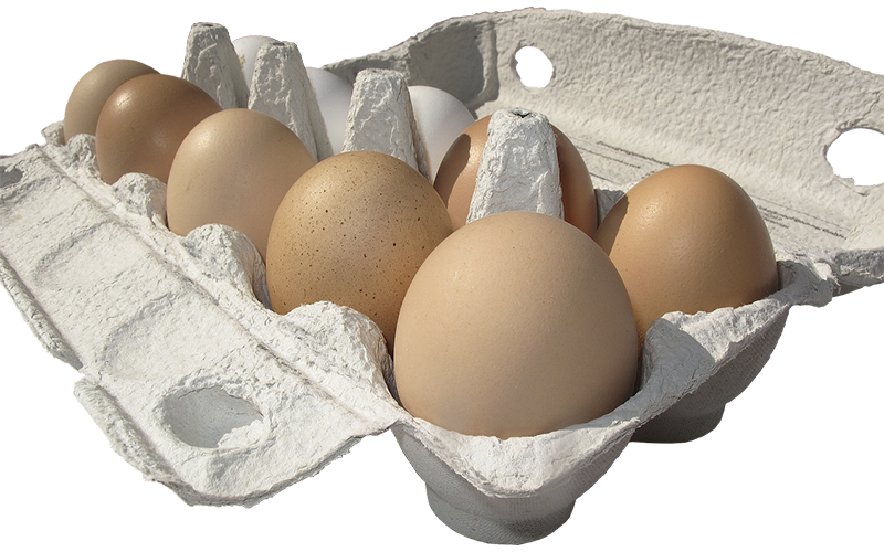 Una granja holandesa vende los primeros huevos producidos sin emitir CO2 