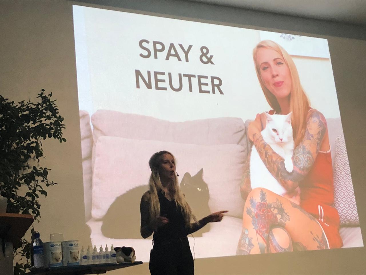 Kitten Lady en RD junto a Fundaci&oacute;n Cat Lovers imparten charla sobre el cuidado de los gatos