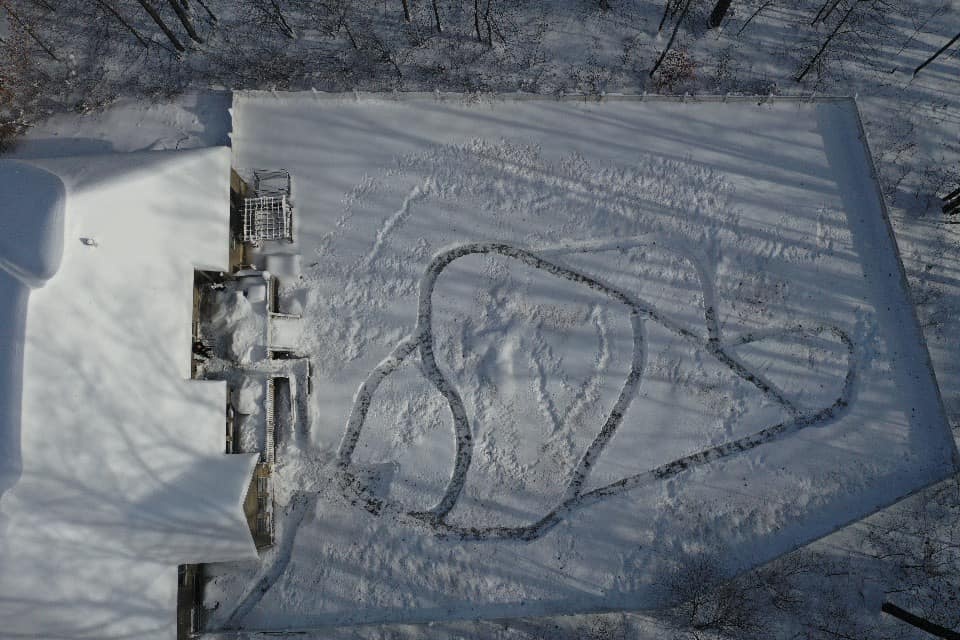 Familia crea un laberinto de nieve &eacute;pico para sus 21 perros rescatados