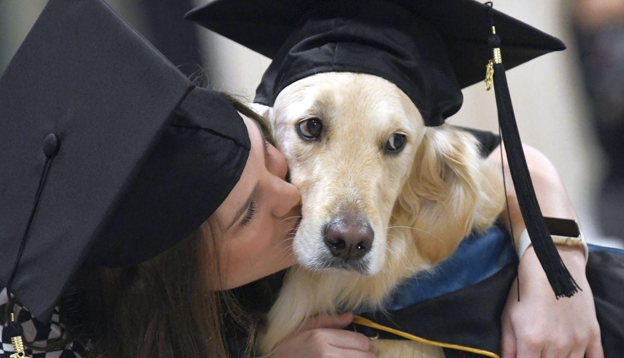 Perro de servicio recibe diploma de maestr&iacute;a en Nueva York