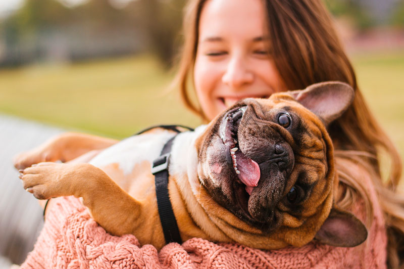 &iexcl;Ten&iacute;as raz&oacute;n! Un estudio demostr&oacute; que es importante hablarle a los perros como si fuesen beb&eacute;s