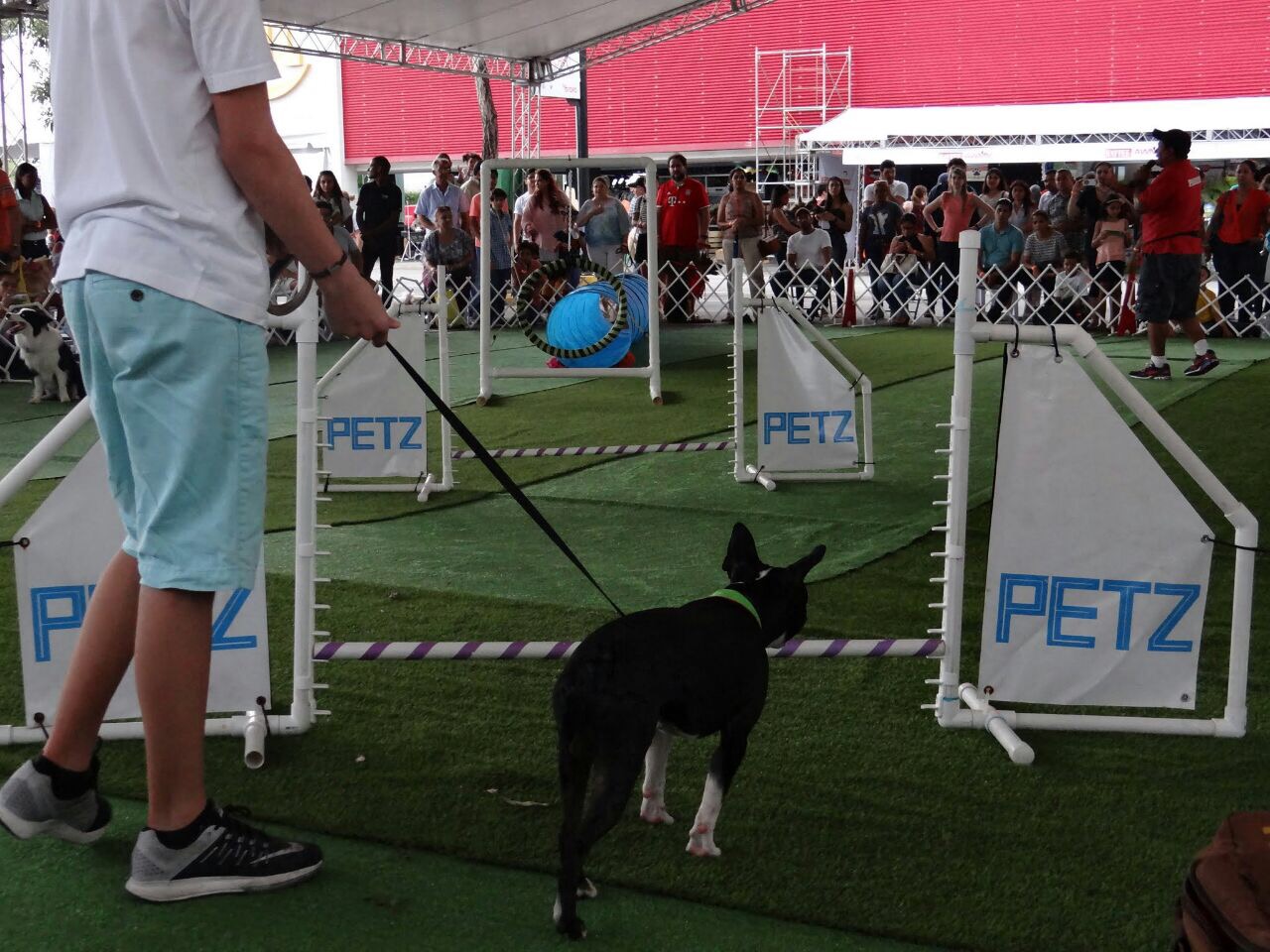 Petz Expo 2017 by Arca Petshop