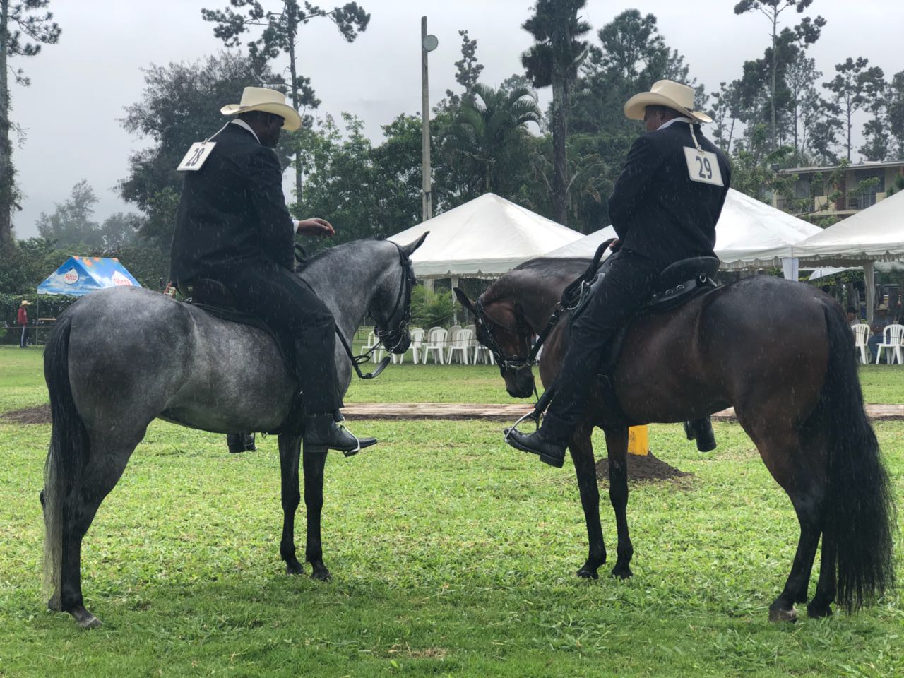 Realizan Primer Puntuable 2018